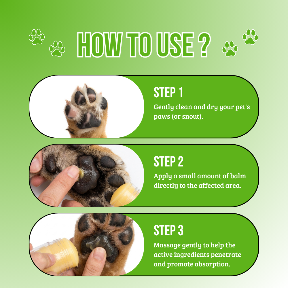 Transformative care for paws and noses