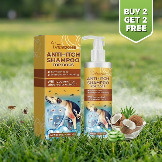 Botanical Shampoo & Conditioner