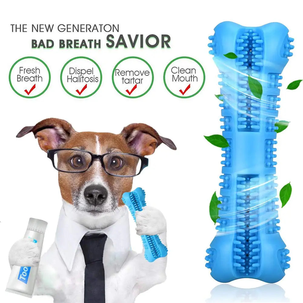 Why your pet needs this Dental Brush
