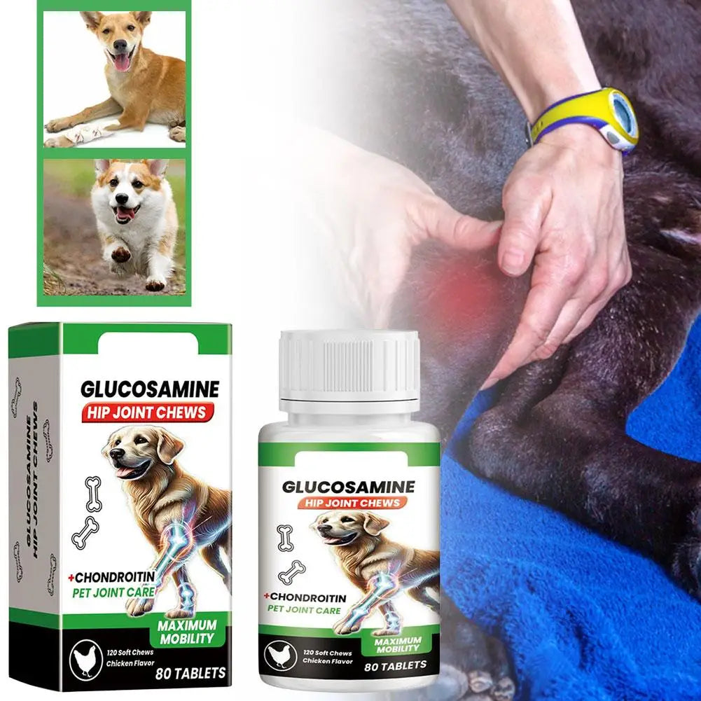 Why your pet needs these supplements