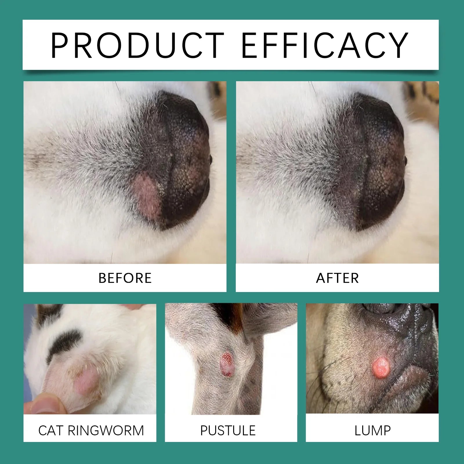 Why your pet needs Derma-Soothe Hypoallergenic Spray