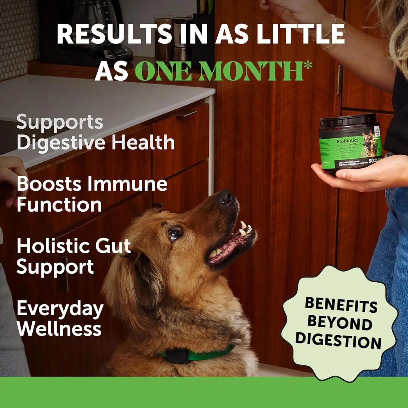 Transformative care for all dog breeds