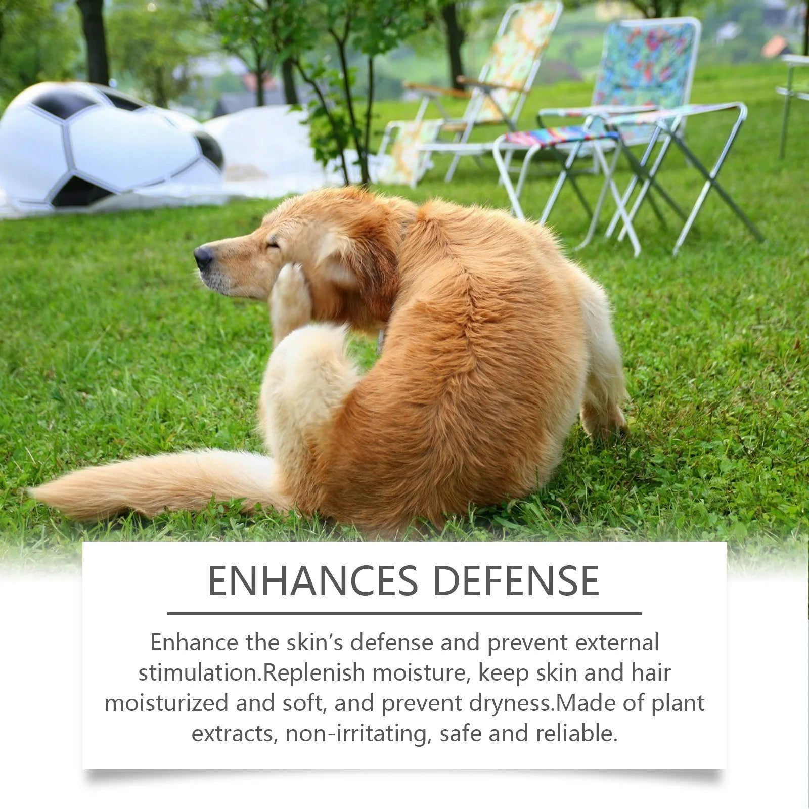 Why your pet needs Yegbong Botanical Shampoo & Conditioner