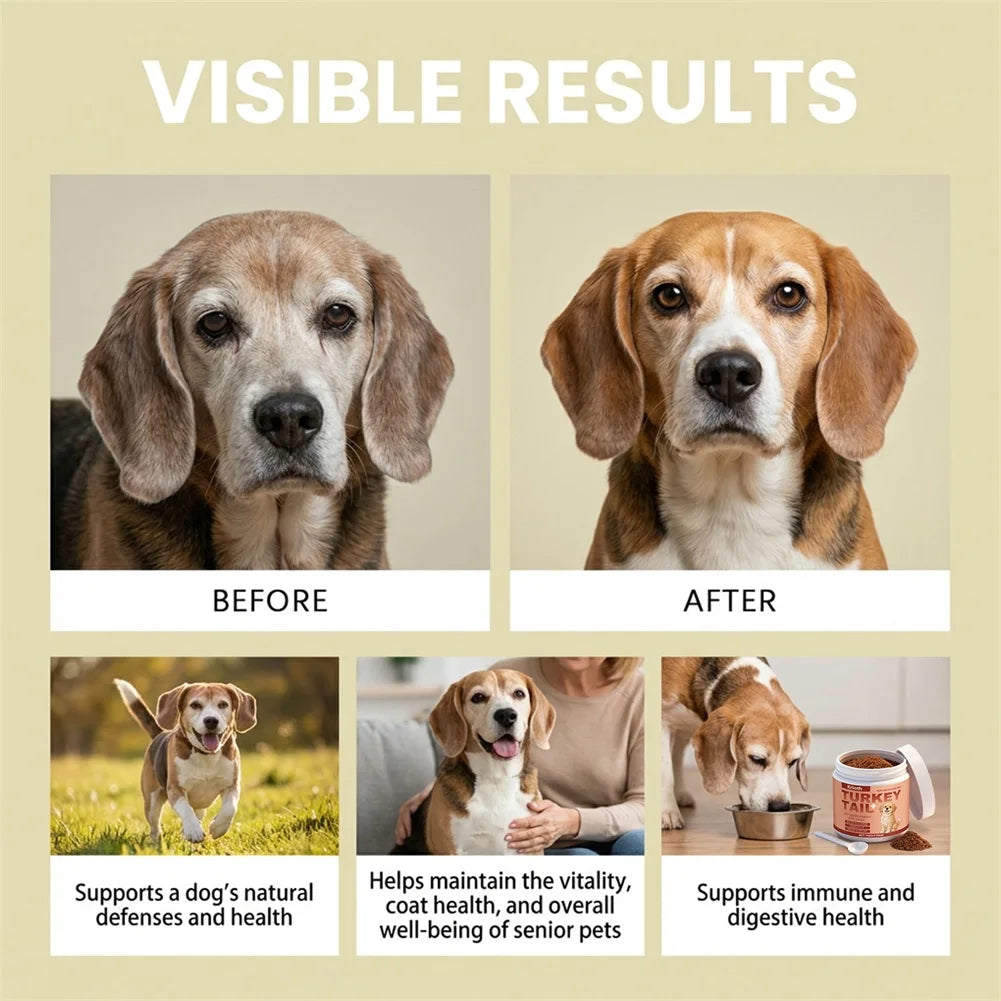 Visible results for your senior friend