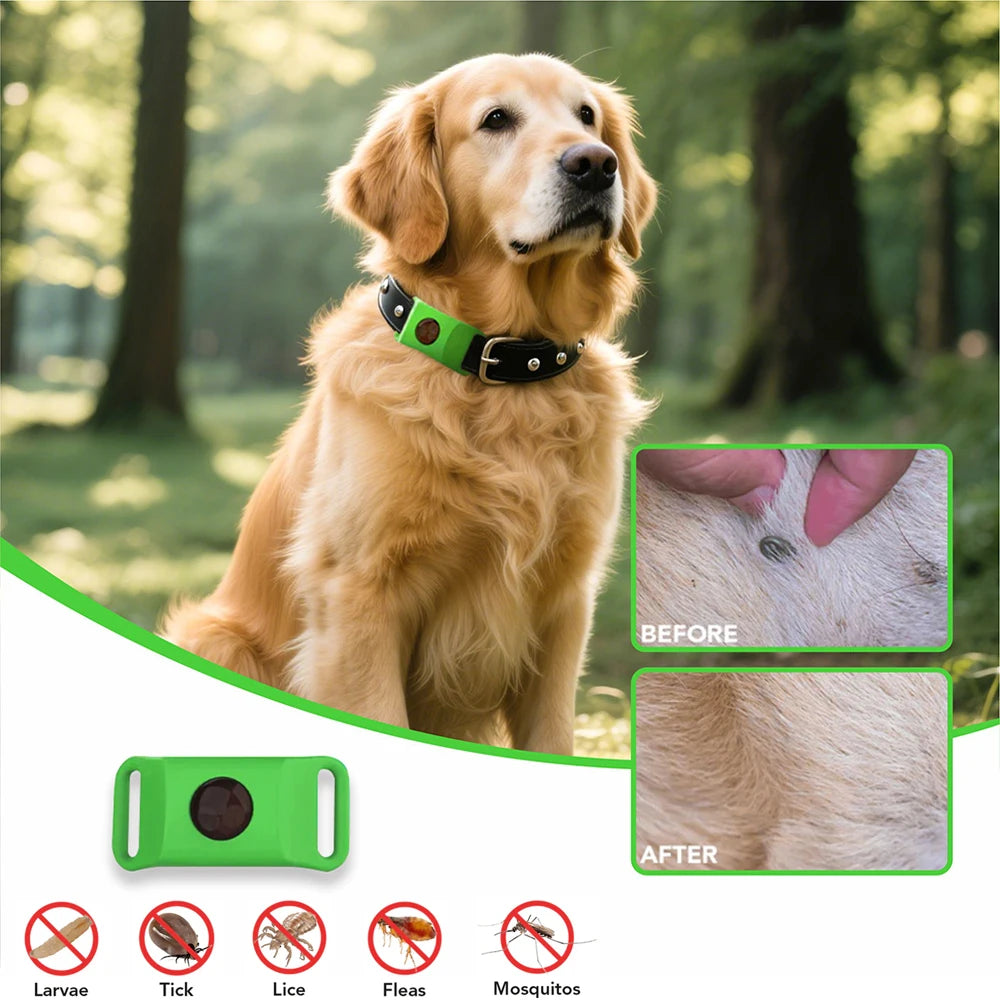 Protection in 3 Simple Steps