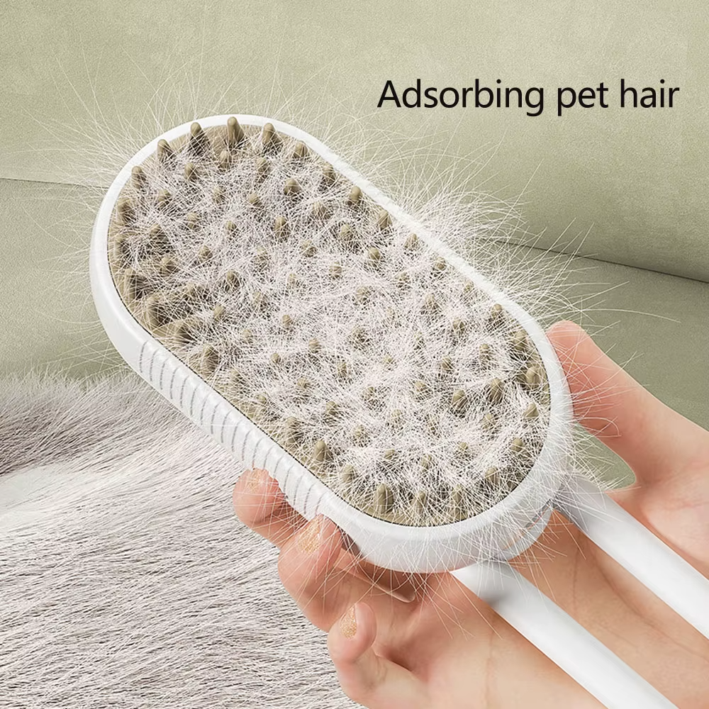 A cleaner companion in minutes