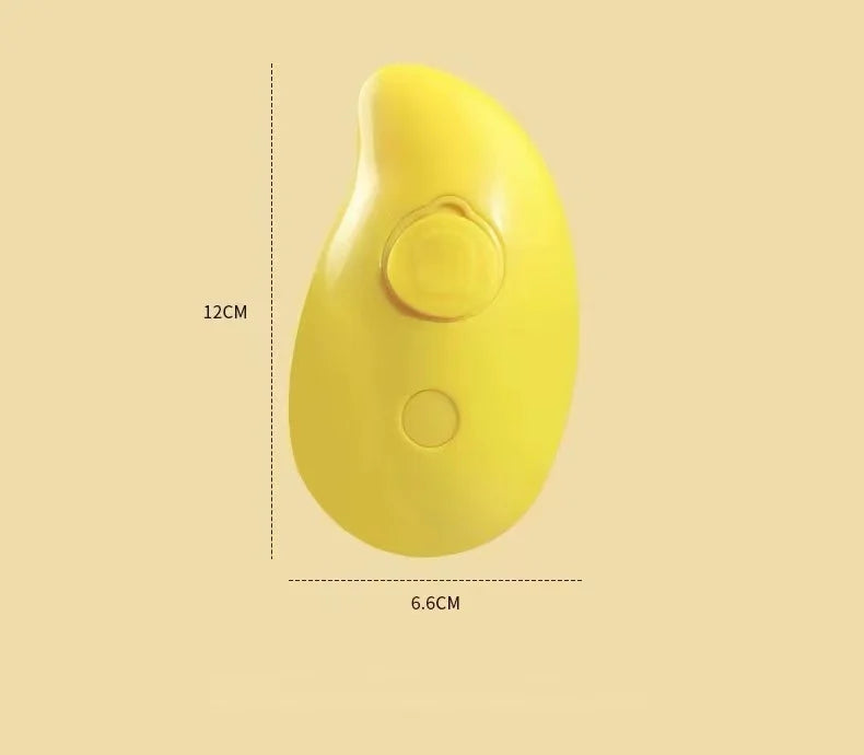 Mist Grooming Brush